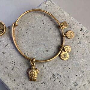 Alex and Ani Gold Turtle Charm Bangle with Disc Charms